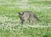 DSC_4211-02.jpg