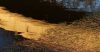 P1170139-1.JPG